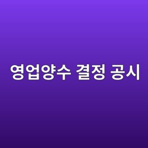 영업양수 결정 공시에서 양수가액과 외부평가기관 평가의견 분석하기 8 ec9881ec9785ec9691ec8898 eab2b0eca095 eab3b5ec8b9c 1787956536