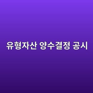 유형자산 양수결정 공시에서 거래상대방·감정평가·취득가액 적정성 확인하기 9 ec9ca0ed9895ec9e90ec82b0 ec9691ec8898eab2b0eca095 eab3b5ec8b9c 1787956520