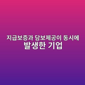 지급보증과 담보제공이 동시에 발생한 기업의 실질 위험노출 분석 7 eca780eab889ebb3b4eca69deab3bc eb8bb4ebb3b4eca09ceab3b5ec9db4 eb8f99ec8b9cec9790 ebb09cec839ded959c eab8b0ec9785 1791807419